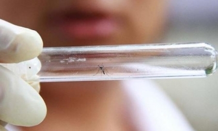 Казахстанских олимпийцев учат, как не заразиться вирусом Зика