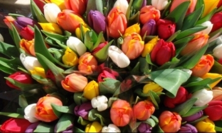 Какие подарки хотели бы получить спортсменки на 8 марта