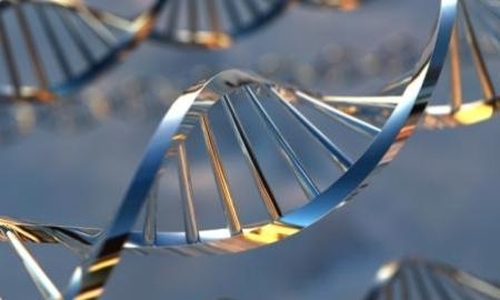 Генетическое тестирование поможет выявить одаренных в спорте детей в ВКО