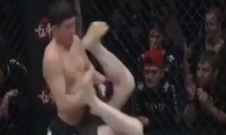 Видео боя ММА за звание чемпиона мира WBK Куат Хамитов — Андрей Митрофанов