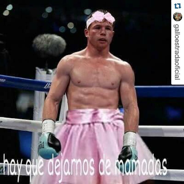 Лара поиздевался над Альваресом за отказ от боя с Головкиным