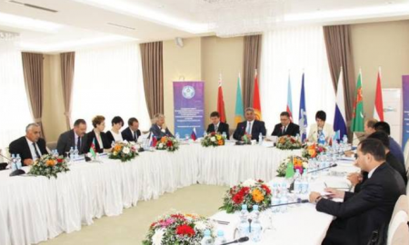 Канагатов рассказал о спортивной инфраструктуре РК на заседании Совета по физкультуре и спорту стран СНГ