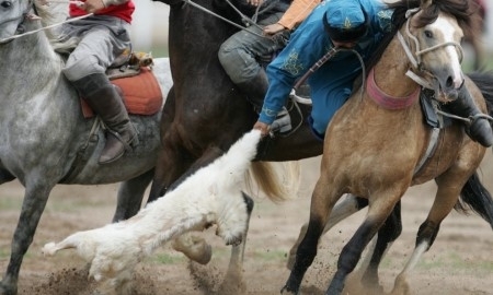 В Вооруженных силах Казахстана создана штатная команда по кокпару