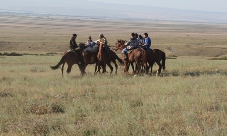 В Кызылорде проходит республиканский чемпионат по национальным видам спорта