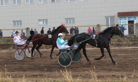 На закрытие скакового сезона в СКО собрались лучшие наездники Казахстана