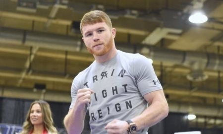 Президент WBO считает, что Альварес перейдет в вес Головкина