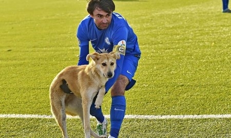 Рыжий пес выбежал на поле во время матча «Иртыш» — «Астана»