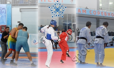 Кубок Конфедерации-2016. Стенка на стенку