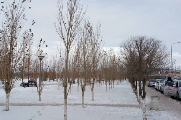 «Не пропустите, момент истины в группе В настал!». Обзор СМИ Кипра перед матчем «Астана» — АПОЭЛ