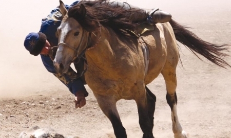 В Шымкенте активно развивают национальные виды спорта