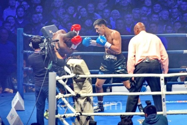 Достижения казахстанских боксеров-профессионалов в 2016 году