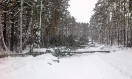 Началась работа по расширению новой лыжной трассы в Щучинске