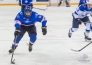Фоторепортаж с матча МХЛ «Ладья» — «Снежные Барсы» 5:2