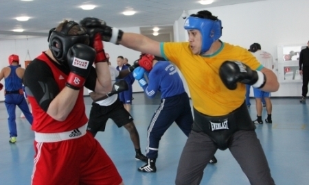 Сборная Казахстана проводит совместные УТС с боксерами из США и Германии