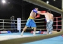 Фоторепортаж с матча WBS «Astana Arlans» — «Patriot Boxing Team» 4:1