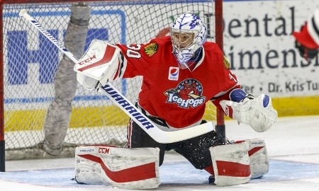 Экс-вратарь «Барыса» может сыграть в плей-офф НХЛ