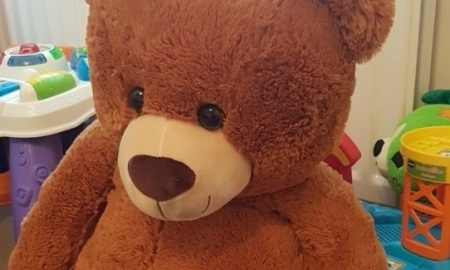 СМИ пошутили, что Головкин тренируется на плюшевом медведе