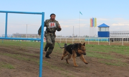 Собачьи бега устроили павлодарцы в честь Первомая