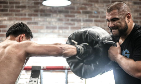 СМИ удивились силе ударов Турарова