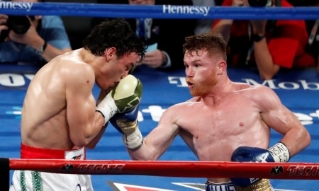 СМИ озвучили часть плана Альвареса на бой с Головкиным