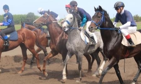 Клуб по национальным и конным видам спорта откроют в Северном Казахстане
