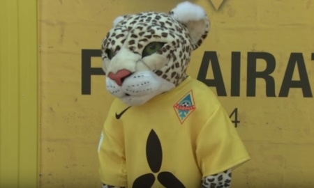 Видео презентации Академии Евстафия Пехлеваниди