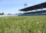 В Караганде поле стадиона «Шахтер» приведут в порядок к 9 июня