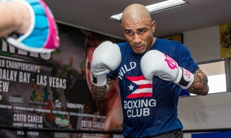 Котто выбрал фаворита в бою Головкин — Альварес