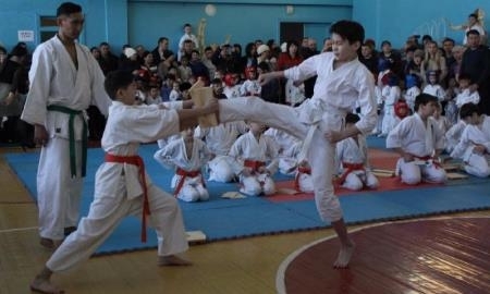 Филиалы кекушинкай каратэ откроют в районах Северо-Казахстанской области