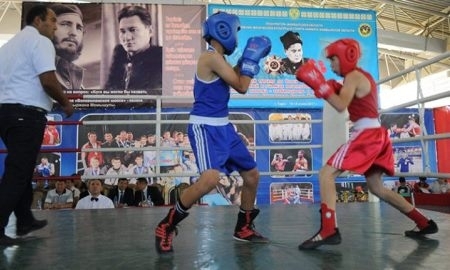 Международный турнир памяти Бауыржана Момышулы проходит в Таразе