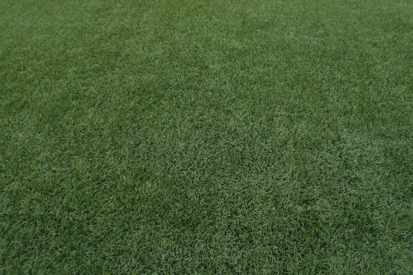 Инспекция в деле — 8. Комиссия ПФЛК по допуску полей проинспектировала стадионы в Кокшетау и Щучинске