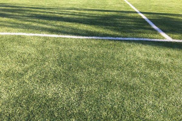 Инспекция в деле — 9. Комиссия ПФЛК по допуску полей посетила Талдыкорган