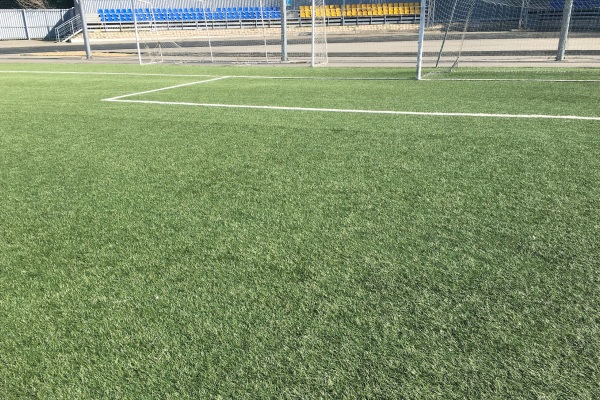 Инспекция в деле — 10. Комиссия ПФЛК по допуску полей посетила ВКО