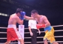 Фоторепортаж с матча WSB «Astana Arlans» — «British Lionhearts» 4:1