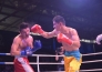 Фоторепортаж с матча WSB «Astana Arlans» — «British Lionhearts» 4:1