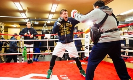 Golden Boy Promotions: «Альварес в „режиме зверя“ к бою с Головкиным!»