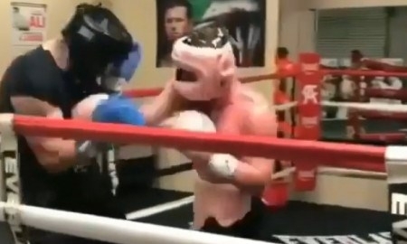 Альварес «уничтожает» спарринг-партнеров перед боем с Головкиным