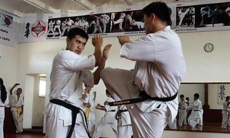 Победители чемпионата Казахстана по кекушинкай каратэ представят страну на мировой арене