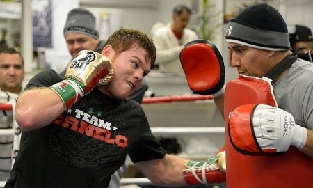 Как «Канело» бьет по «лапам», представляя вместо них Головкина