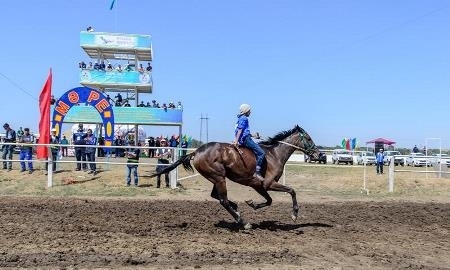 Конные состязания на Кубок Президента РК прошли в Алматинской области