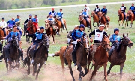 Турнир «Алтын Тулпар-2017» соберет лучших скакунов Казахстана