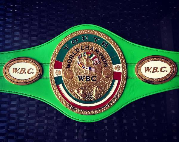 Представлен пояс WBC за который поборется Ахмедов в США