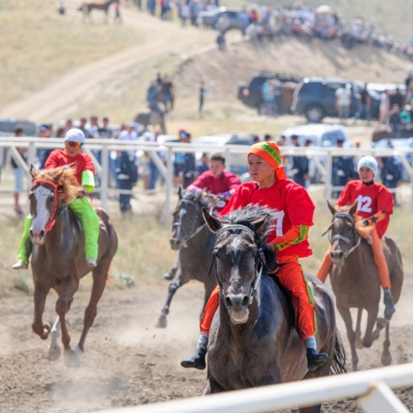 Конные состязания на Кубок Президента РК прошли в Алматинской области