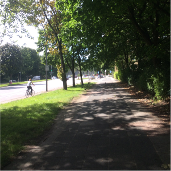 Город, где побеждали Головкин и Кличко, или Что нужно знать о столице чемпионата Мира-2017 по боксу