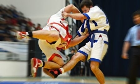 Включить казах курес в школьную программу предложили в Казахстане