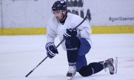 Полищук подписал контракт с «Торпедо»