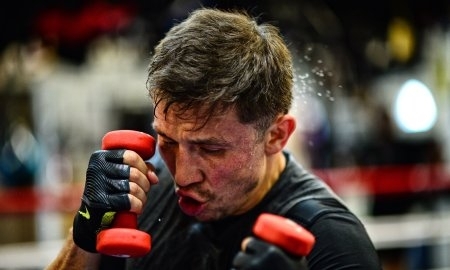 Геннадий Головкин сравнил себя с акулой