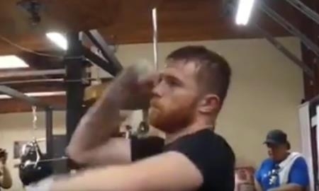 Как «Канело» проводит заключительный этап подготовки к бою с Головкиным