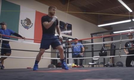 Видео тренировки Альвареса перед боем с Головкиным