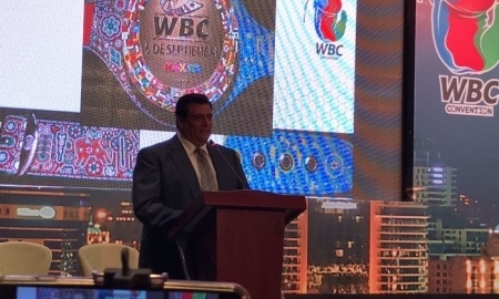 WBC санкционировал реванш Головкин — Альварес